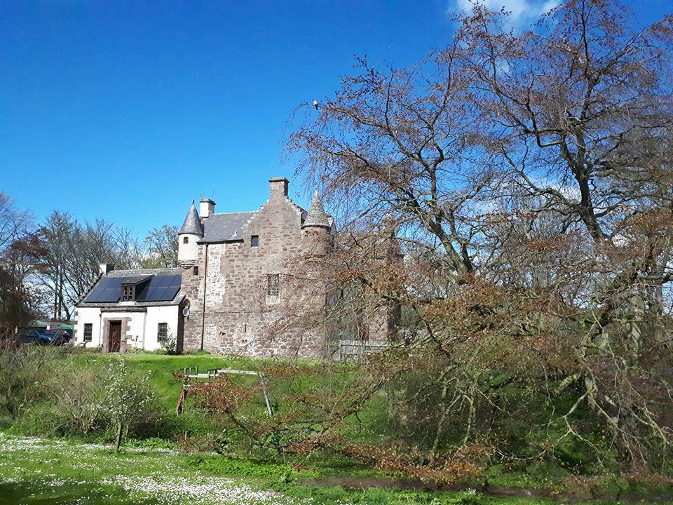 Hallgreen Castle Inverbervie Exteriör bild